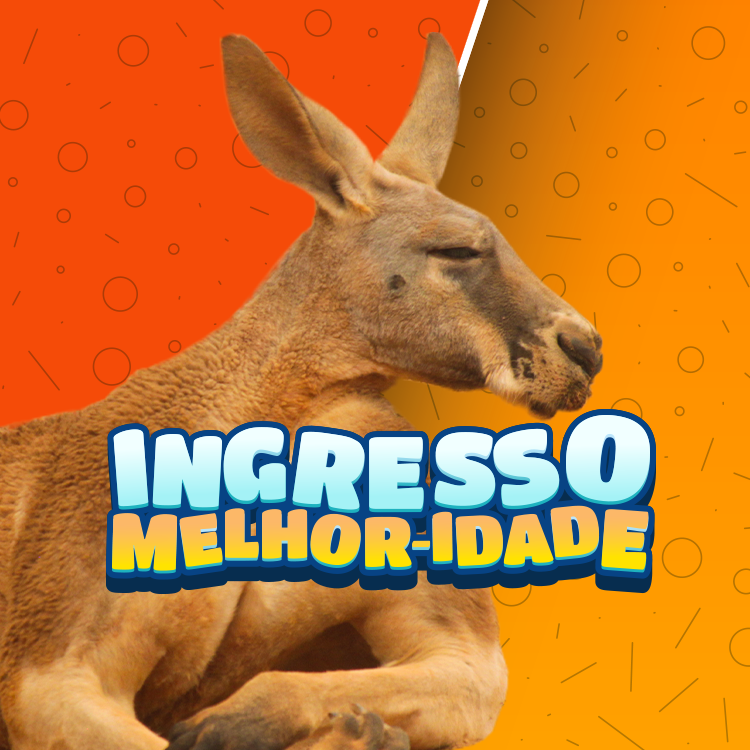 Miniatura 0