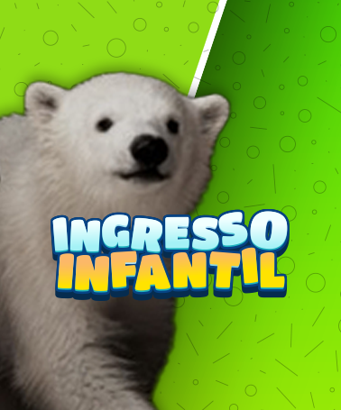 Miniatura 0