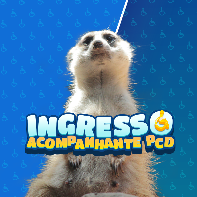 Miniatura 0