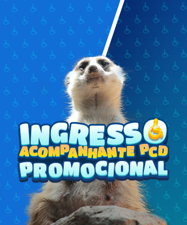 Miniatura 0
